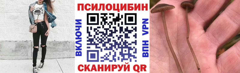 Галлюциногенные грибы GOLDEN TEACHER  МЕГА   Алейск  купить наркотик 